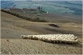 38 - Toscaans landschap - DE BONDT WILKIE - belgium